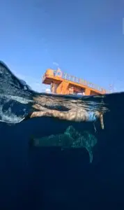 Lombok Whale Shark Co
